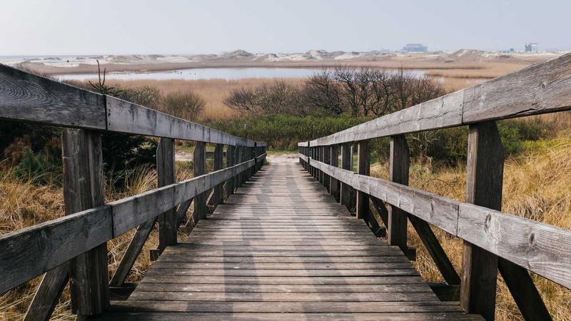 అమెరికా అధ్యక్షుడు ట్రంప్ భారత పర్యటన: వ్యాపార ఒప్పందాలు