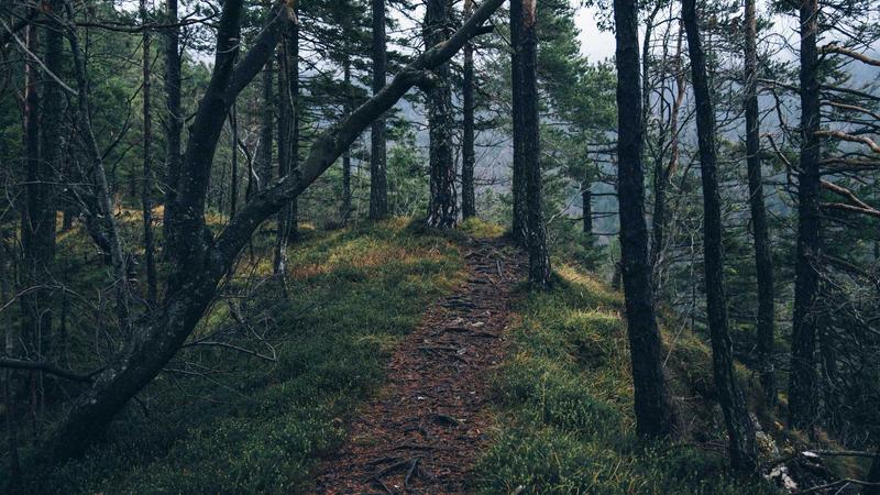 Plea Filed in SC to Oust Ajay Pal Sharma from Bengal Poll Duty