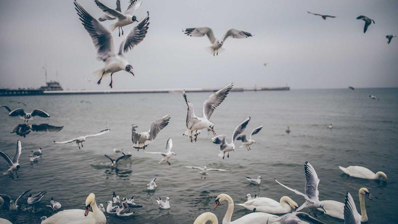 రాఘవ్‌ చద్దాకు షాక్‌