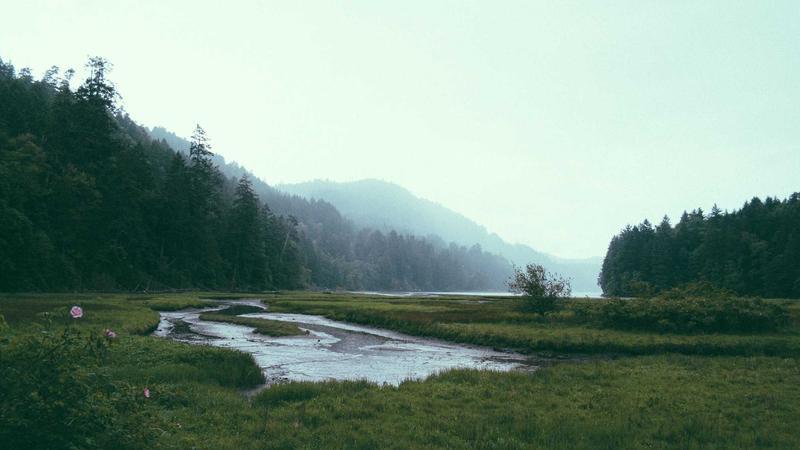 RMC Unveils ₹767.43 Crore Budget For City Development