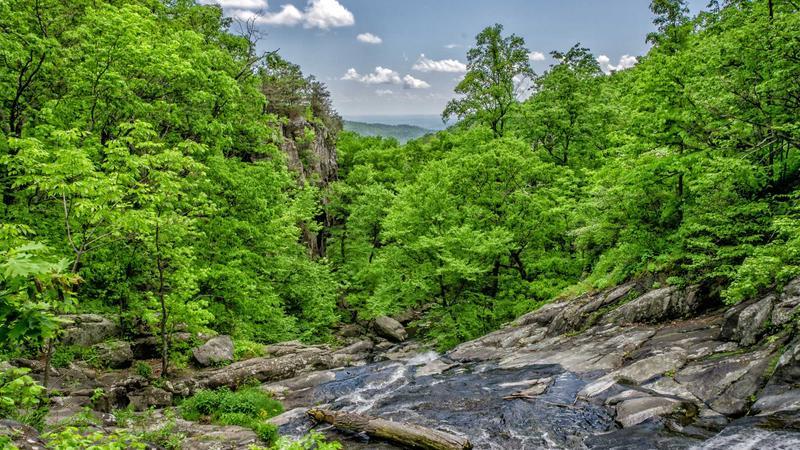 Rupee Falls 20 Paise To Close at Fresh All-Time Low of 94.88 Against US Dollar