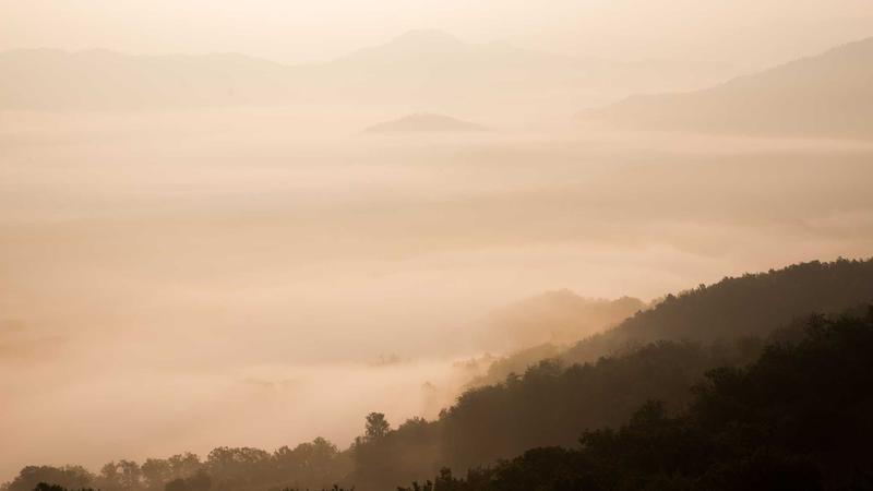 Satyajit Ray Smrithi event to be held in Thiruvananthapuram