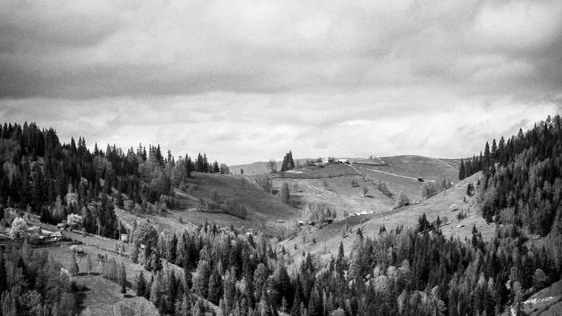 Self-Enumeration for Census 2027 Launched in Telangana