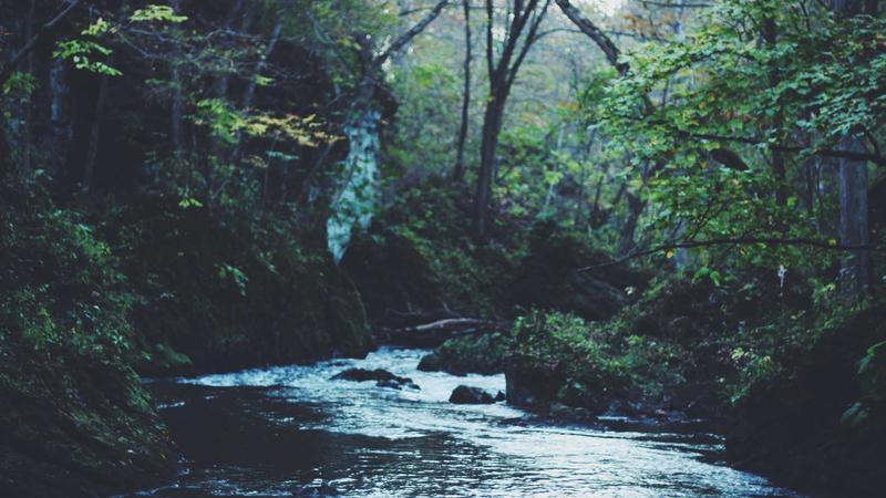 SHRC orders mandatory safety checks for events at Kaloor stadium