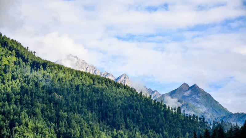 Shreya Sen-Handley | How To Survive  A Stressful Summer
