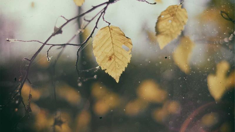 Suicide Of US-based Sisters In Kanyakumari