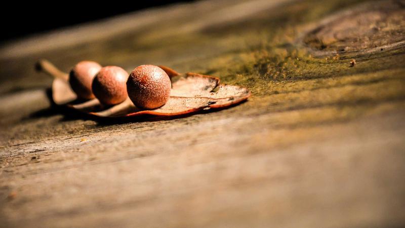 టైటాన్స్‌ అలవోకగా..