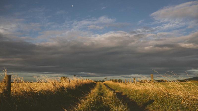 Tamil Nadu Exit Polls: Will Thalapathy Vijay Be A King or Kingmaker?