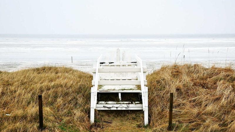 Thousands Witness Padmavathi Srinivasa Parinayotsavam