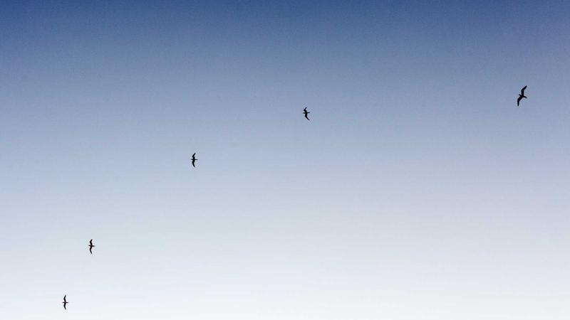 2026 టాలీవుడ్ క్యాలెండర్: NTR, బాలకృష్ణ, అల్లు అర్జున్ — మెగా విడుదలలు వరుసలో