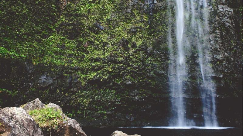 Toxic Work Environment: Raghav Chadha's First Attack on AAP After Joining BJP