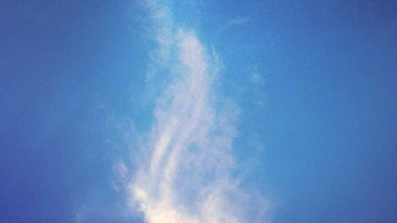 Trianz appoints Sudhakar Vadapalli as CFO to scale platform growth