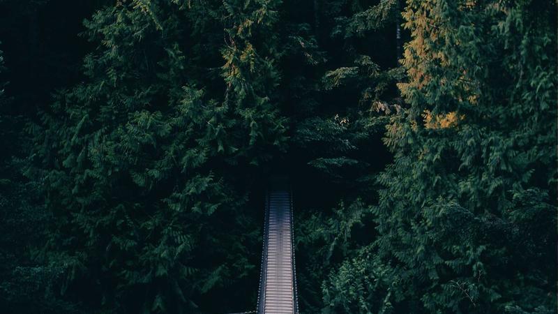 Trump Releases Security Breach Footage, Shooter's Photos