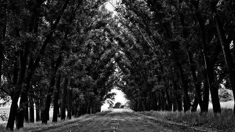 Twins Score Identical Marks in SSC Results