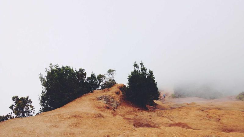 US remains top market for Indian pharma exports in 2026