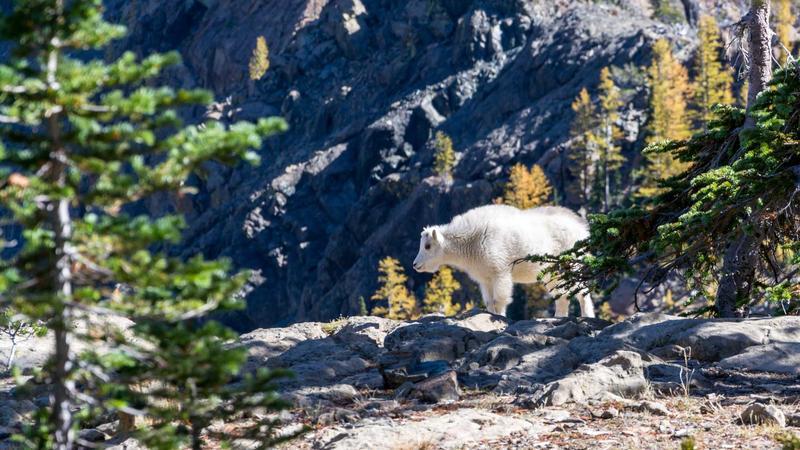 US Seeks International Help to Reopen Strait of Hormuz