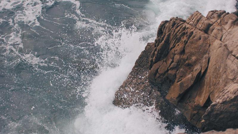 వైట్‌హౌస్‌ పాత్రికేయుల విందులో కాల్పుల కలకలం