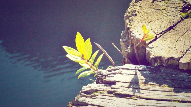 We’re not competing with AI on intelligence—it’s the blind spots