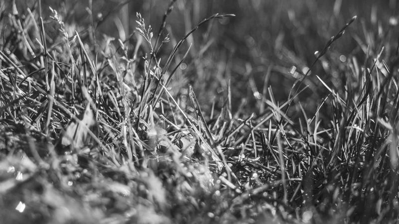 Will Return for Oath-Taking: Modi Confident of Bengal Win