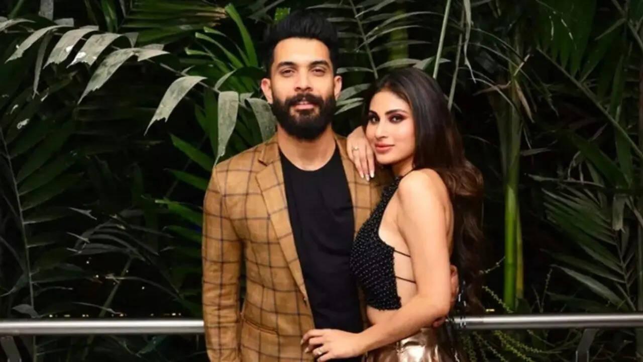 Mouni-Suraj's marriage ended six months ago, haven't applied for divorce yet