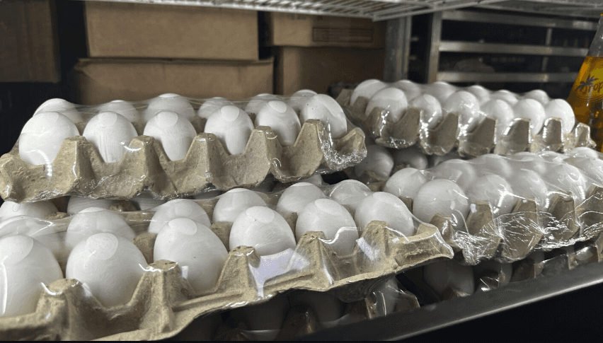 AP Tops in Egg Production