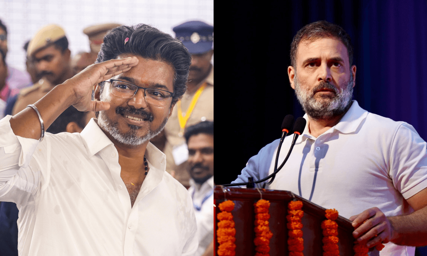 ‘Had Rahul Gandhi Campaigned with Vijay…’: What TN AICC In-Charge Said