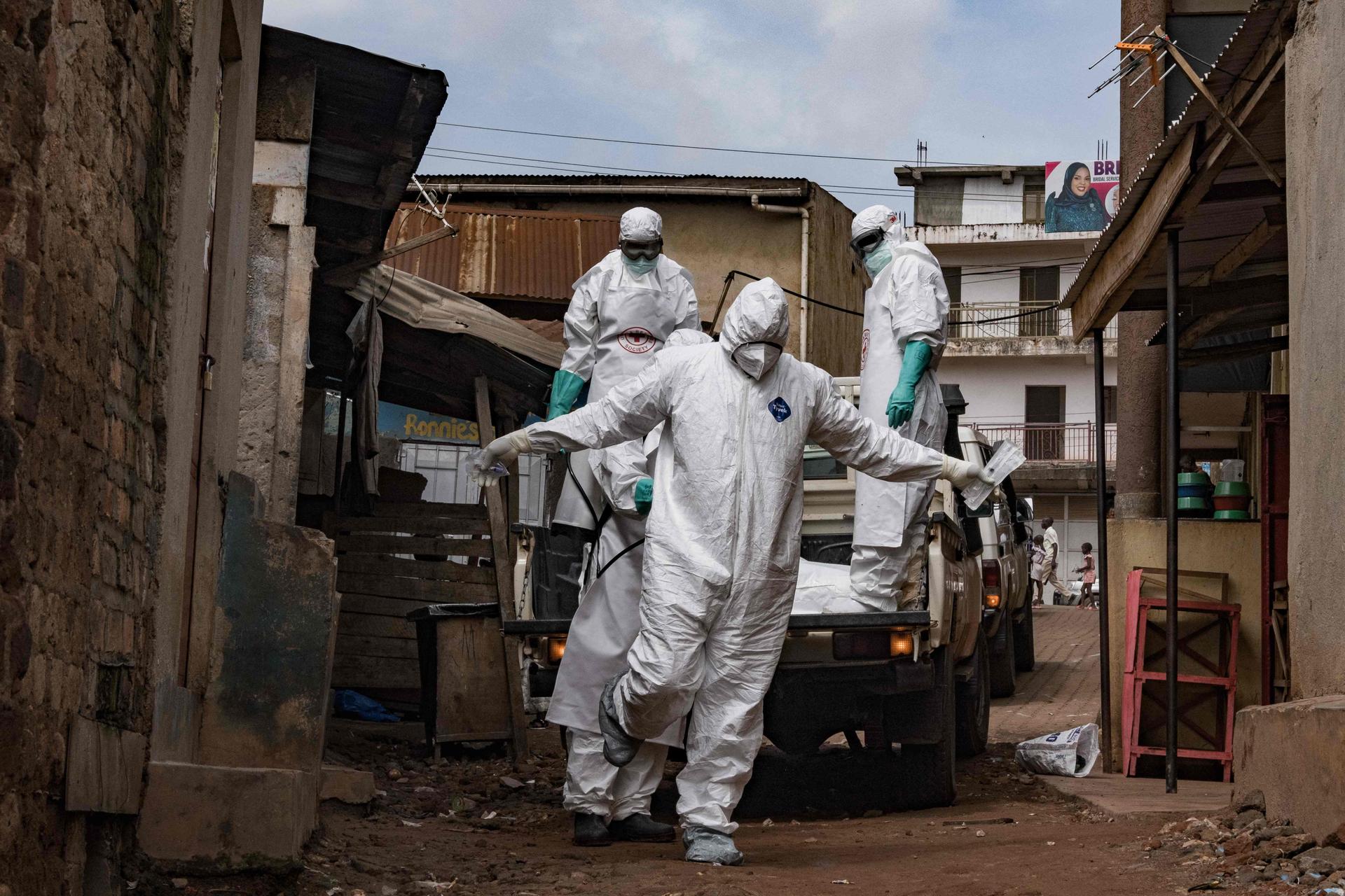 Bundibugyo Virus: What to Know About the Ebola Species Behind Congo Outbreak