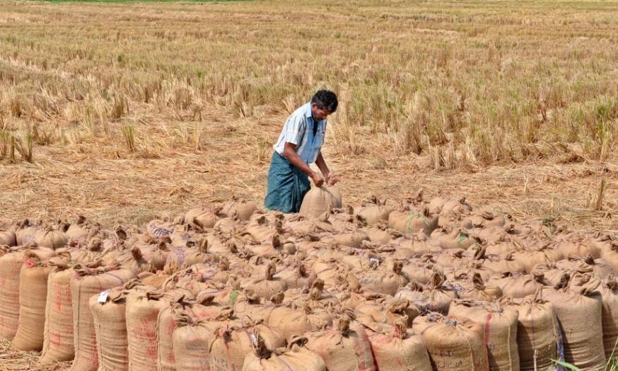 Telangana Launches Mission K-100 For Kharif Procurement