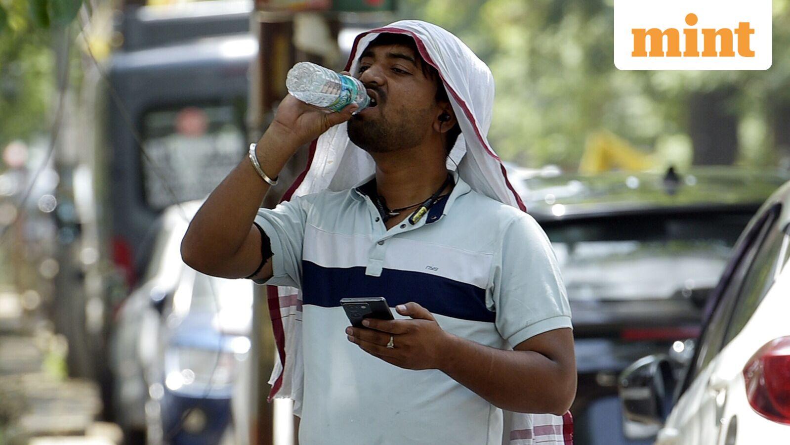 Weather today: Heat wave, warm night alert for Delhi, Haryana as IMD predicts 5°C spike in mercury till 26 April