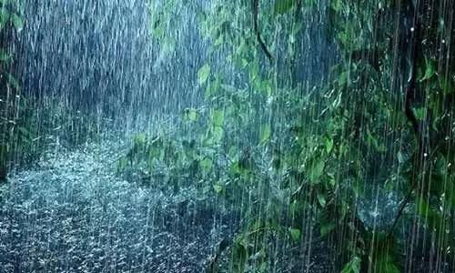 తెలంగాణలో పలు జిల్లాలకు వర్ష సూచన