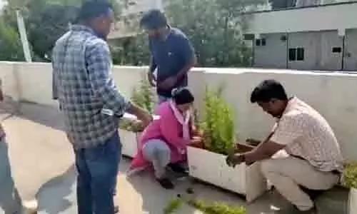 సాఫ్ట్‌వేర్ ఉద్యోగం ఊస్ట్.. ఇంటిపైనే గంజాయి మొక్కలు పెంచుతూ..