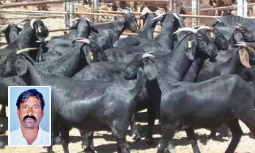 నిజామాబాద్‌లో ఉదయం కూతురు పెళ్లి... రాత్రి తండ్రి ఆత్మహత్య