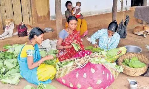 తునికాకు