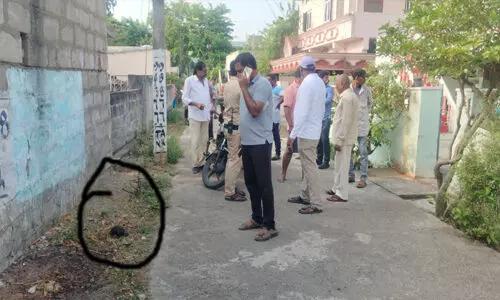 పసికందు తల భాగం లభ్యం