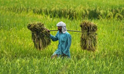 కనీస మద్దతు ధరల పెంపు