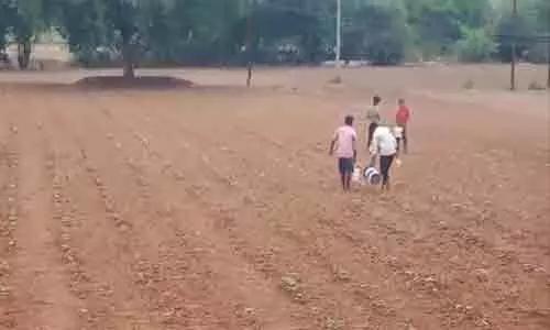 పత్తి పంటను కాపాడుకోవడానికి రైతు కుటుంబం అగచాట్లు