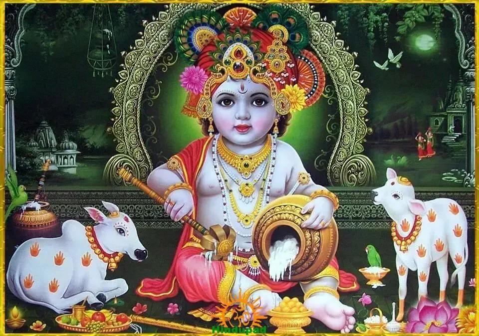 Krishna Janmashtami Festivities in Dallas.. McKinney to Celebrate on September 4