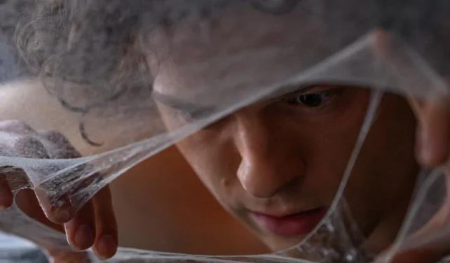 'Spider-Man: Brand New Day' Continues Box Office Rampage, Nears ₹350 Crore in Just 6 Days