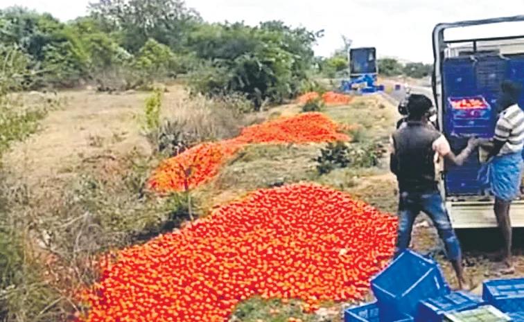 Tomato Prices Crash! Just ₹2 Per Kg.. Farmers Dumping Their Produce!