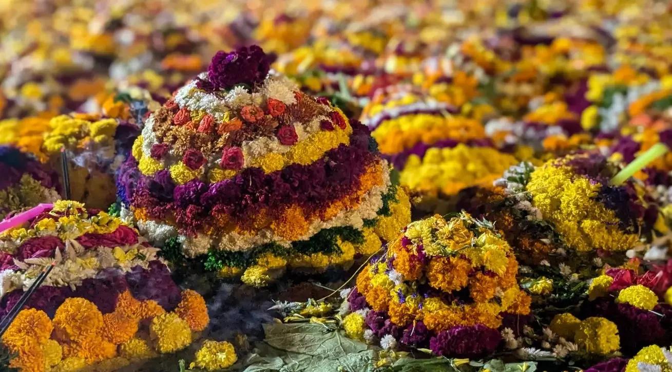 మిన్నెసోటాలో బతుకమ్మ సందడి... అక్టోబర్ 17న మిన్నెసోటా ఏరియా తెలంగాణ అసోసియేషన్ ఆధ్వర్యంలో ఘన వేడుకలు