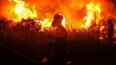 Warning of record global temperatures as chance of very strong El Niño grows