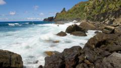 Woman isolating on British island in South Pacific after hantavirus contact