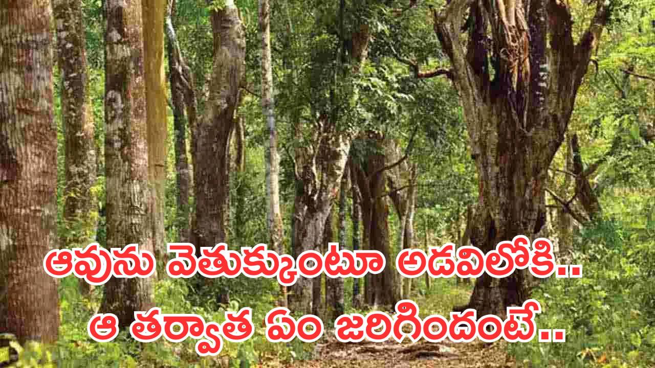 తప్పిపోయిన ఆవును వెతుక్కుంటూ అడవిలోకి వెళ్ళాడు..! తర్వాత జరిగింది తెలిస్తే కన్నీళ్లాగవు