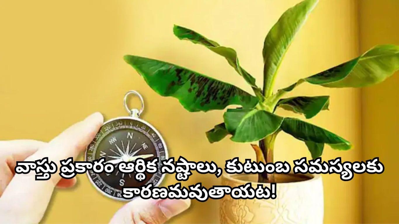 Vastu Tips: ఇంటి ప్రధాన ద్వారం ముందు ఈ 3 చెట్లు ఉంటే వాస్తు ప్రకారం అశుభం.. ఎందుకో తెలుసా?