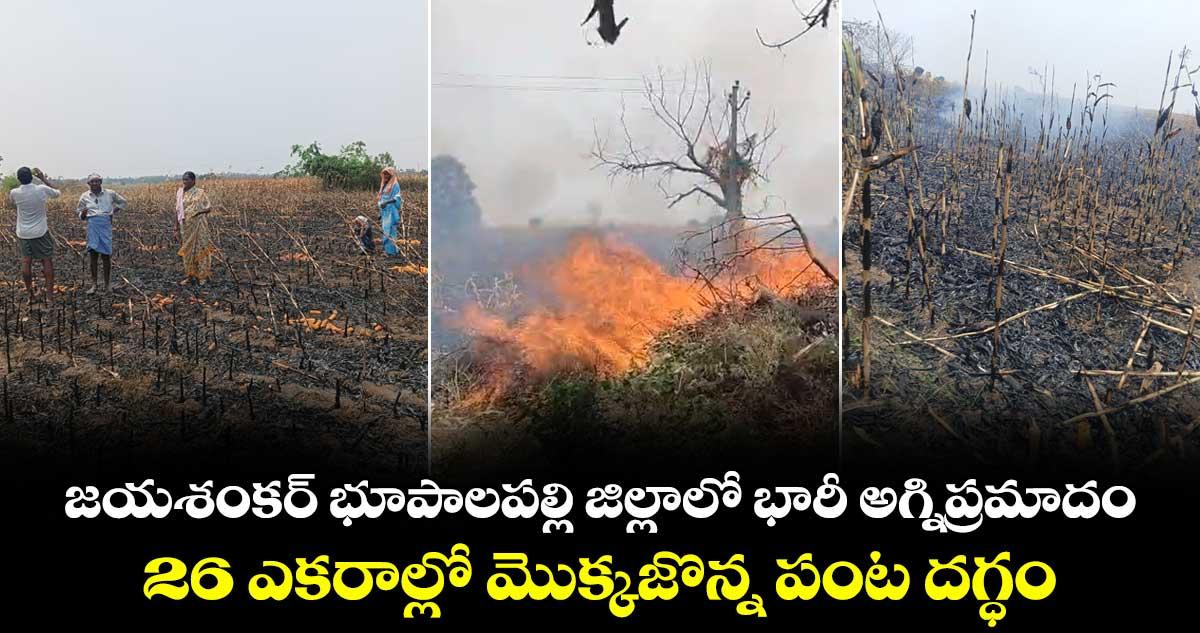 జయశంకర్ భూపాలపల్లి జిల్లాలో భారీ అగ్నిప్రమాదం... 26 ఎకరాల్లో మొక్కజొన్న పంట దగ్ధం..