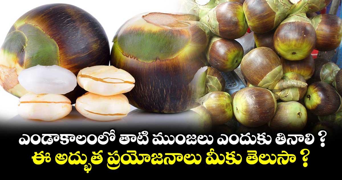 ఎండాకాలంలో తాటి ముంజలు ఎందుకు తినాలి ? ఈ అద్భుత ప్రయోజనాలు మీకు తెలుసా ?