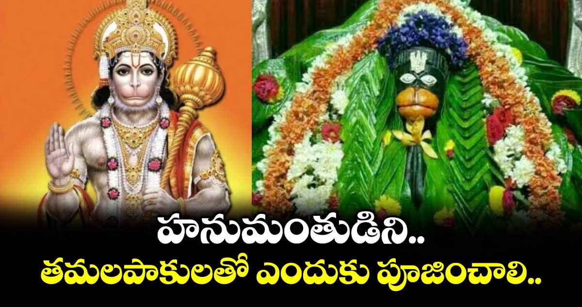 ఆధ్యాత్మికం: హనుమంతుడిని తమలపాకులతో ఎందుకు పూజించాలి..
