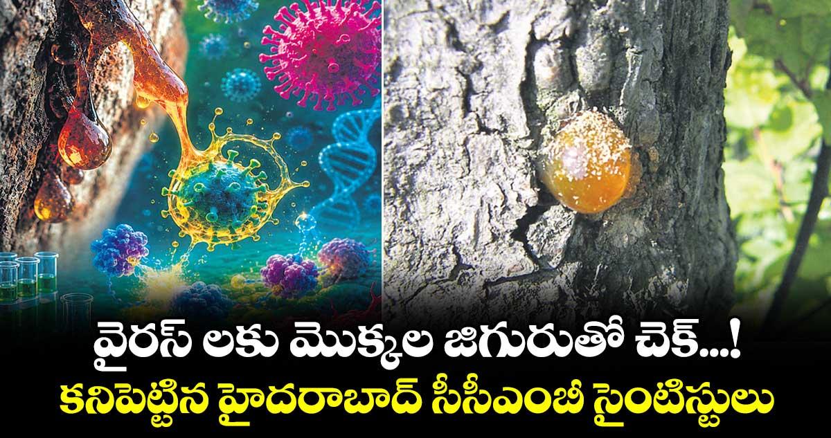 వైరస్ లకు మొక్కల జిగురుతో చెక్...! కనిపెట్టిన హైదరాబాద్ సీసీఎంబీ సైంటిస్టులు