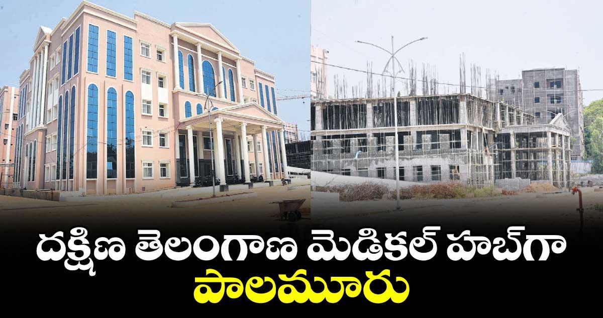 దక్షిణ తెలంగాణ మెడికల్ హబ్ గా పాలమూరు