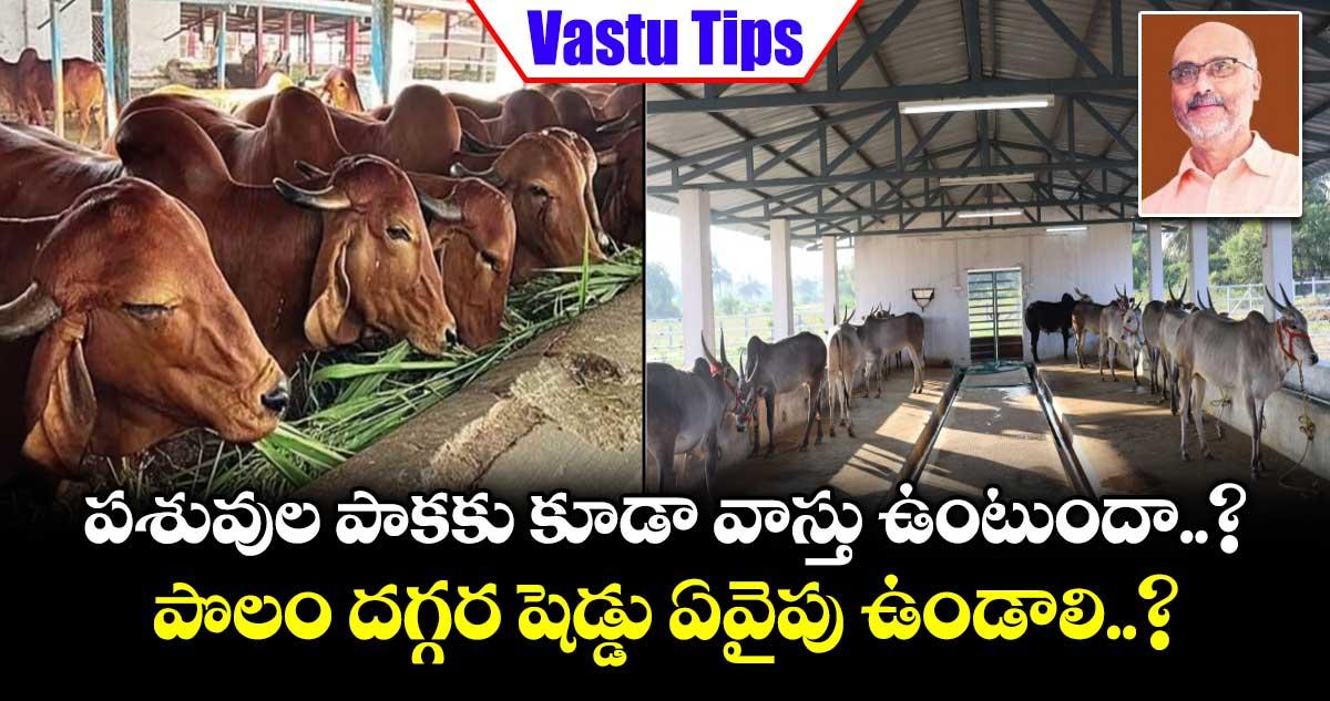 Vastu Tips: పశువుల పాకకు కూడా వాస్తు ఉంటుందా..? పొలం దగ్గర షెడ్డు ఏవైపు ఉండాలి..?